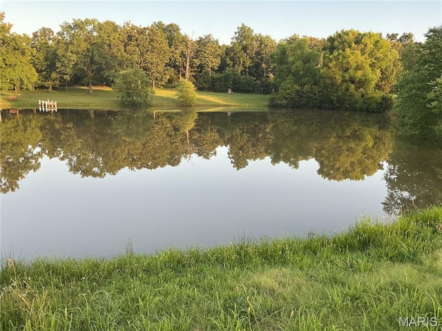11996 County Road 3290, Rolla, MO 65401 - water view featuring a heavily wooded area