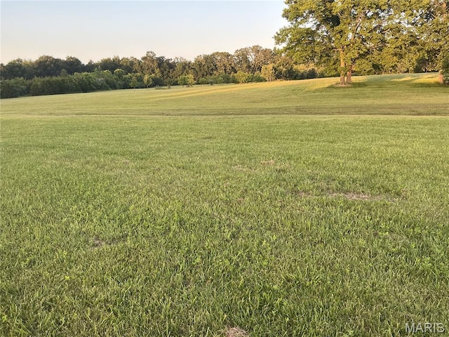 11996 County Road 3290, Rolla, MO 65401 - view of green lawn