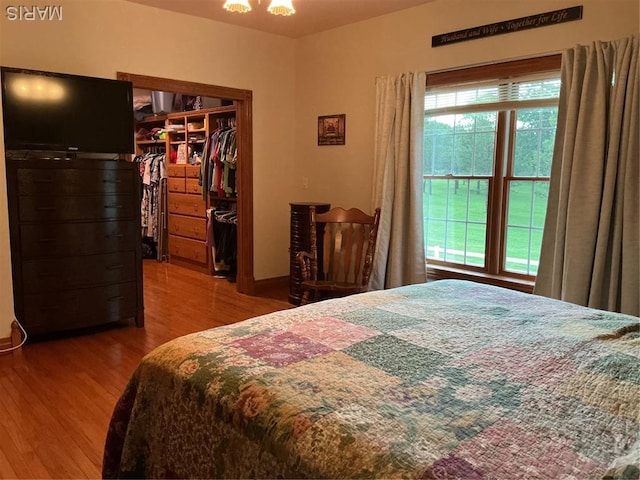 11996 County Road 3290, Rolla, MO 65401 - bedroom with wood finished floors, a spacious closet, and a closet