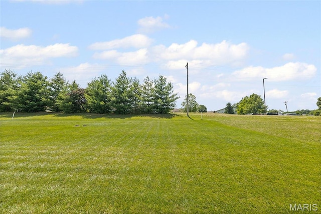 519 Legacy Dr, Waterloo, IL 62298 - photo 26