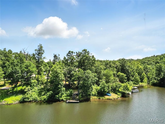 92 Lake Front Pt, Perryville, MO 63775 - water view featuring a heavily wooded area