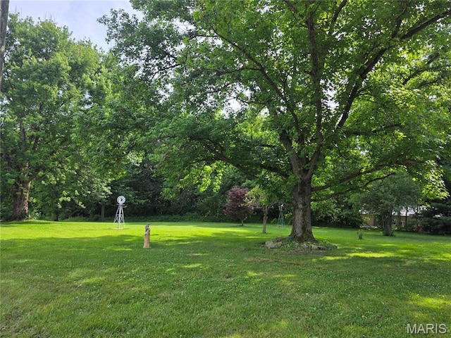 402 Il Route 143, Pocahontas, IL 62275 - view of green lawn