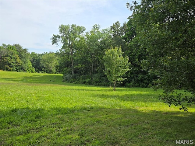 402 Il Route 143, Pocahontas, IL 62275 - view of yard featuring a view of trees