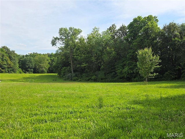 402 Il Route 143, Pocahontas, IL 62275 - view of yard featuring a forest view