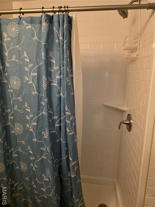 402 Il Route 143, Pocahontas, IL 62275 - full bathroom featuring a tile shower