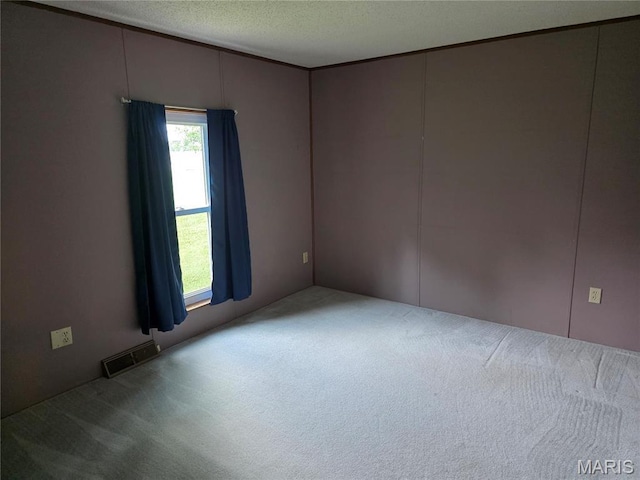 402 Il Route 143, Pocahontas, IL 62275 - carpeted spare room with a textured ceiling
