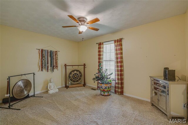 854 Ridgeview Dr, Bonne Terre, MO 63628 - photo 25