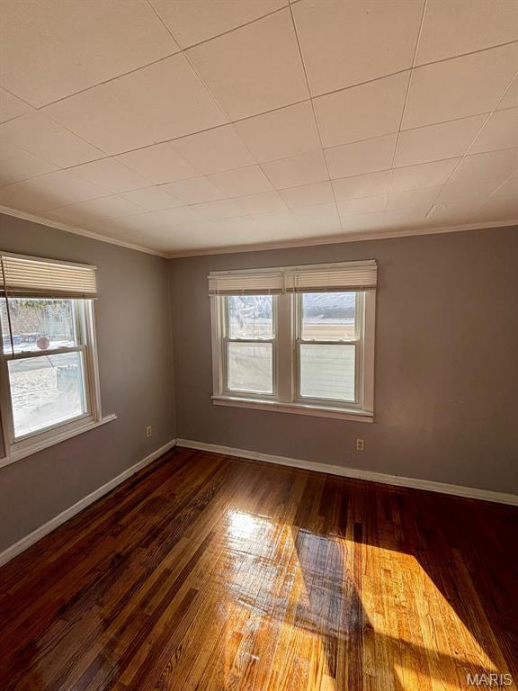 10109 Imperial Dr, Saint Louis, MO 63136 - empty room featuring crown molding, wood finished floors, and plenty of natural light