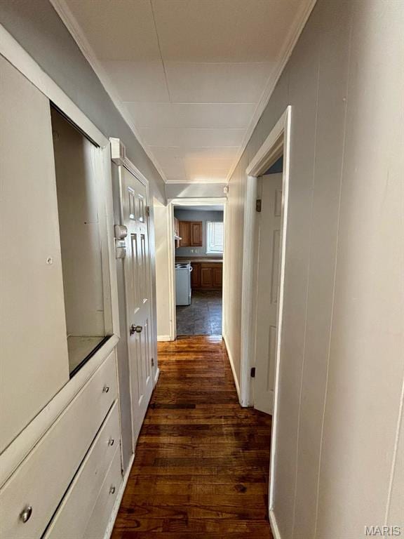 10109 Imperial Dr, Saint Louis, MO 63136 - hallway with dark wood finished floors