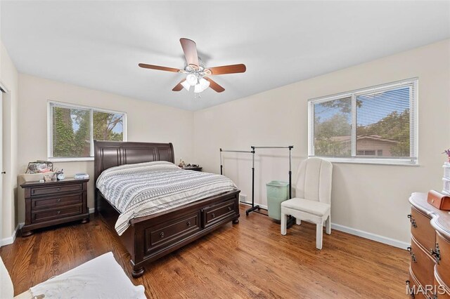 5263 Faro Dr, Tesson Ferry Township, MO 63128 - photo 20