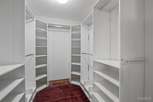 976 Aspenetter Dr, Innsbrook, MO 63390 - spacious closet with carpet