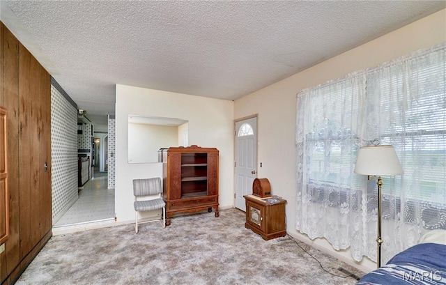 339 White Rd, Hawk Point, MO 63349 - photo 24