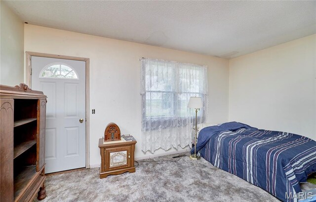 339 White Rd, Hawk Point, MO 63349 - photo 25