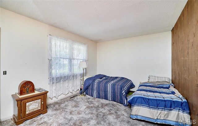 339 White Rd, Hawk Point, MO 63349 - photo 26