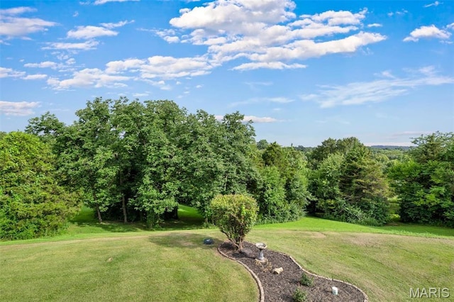 576 Riverview Dr, Labadie, MO 63055 - photo 56