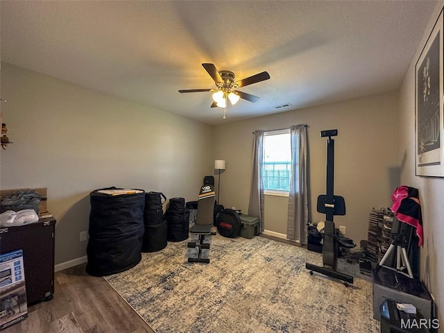 326 Apple Park Way, Poplar Bluff, MO 63901 - workout room featuring ceiling fan and wood finished floors