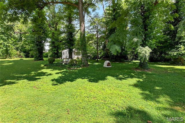 351 N 66th St, Belleville, IL 62223 - view of green lawn with view of scattered trees