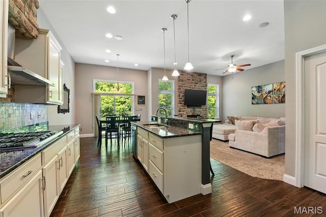 317 Hyde Park Ave, Wentzville, MO 63385 - photo 10