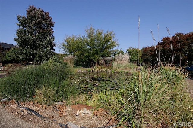 3092 Pirogue St, Saint Charles, MO 63301 - view of nature