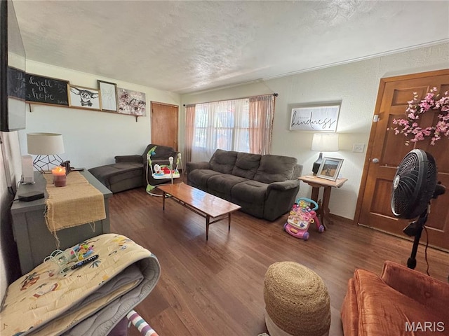 56319 Meyer Trl, Hannibal, MO 63401 - living room featuring wood finished floors and a textured ceiling