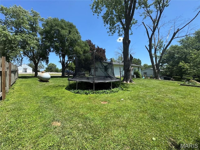 56319 Meyer Trl, Hannibal, MO 63401 - view of yard with a trampoline