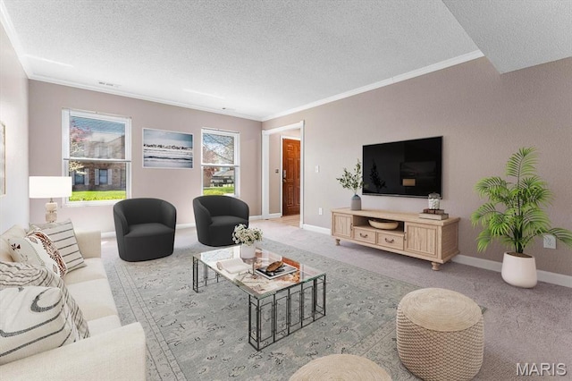 525 Homestead Ave, Swansea, IL 62226 - living room featuring a textured ceiling, crown molding, and carpet flooring
