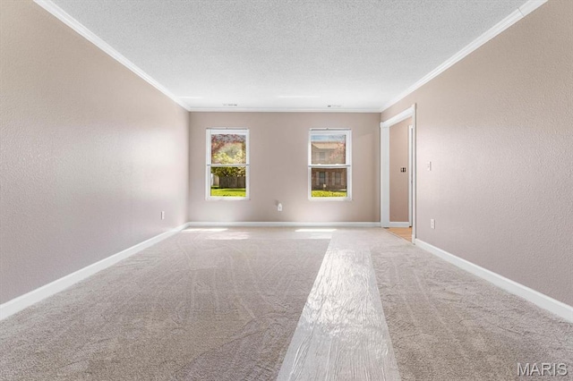 525 Homestead Ave, Swansea, IL 62226 - carpeted spare room with crown molding, a textured wall, and a textured ceiling