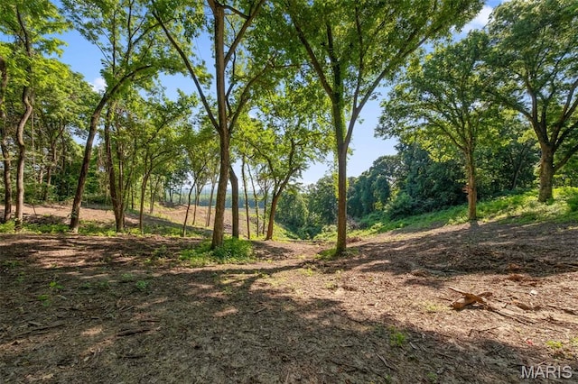 00 Charette Ln, Washington, MO 63090 - photo 2