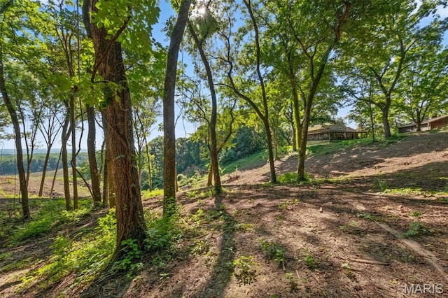 00 Charette Ln, Washington, MO 63090 - photo 4