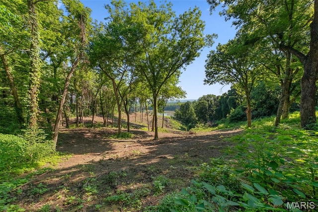 00 Charette Ln, Washington, MO 63090 - photo 5