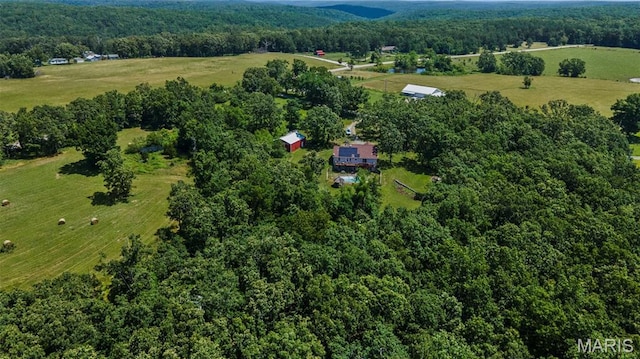 10113 Hawns Farm Rd, Fredericktown, MO 63645 - photo 8