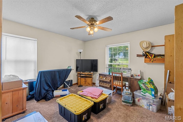10113 Hawns Farm Rd, Fredericktown, MO 63645 - photo 17