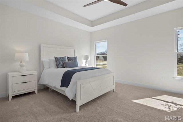105 Prominence Point Ct, Wentzville, MO 63385 - photo 20