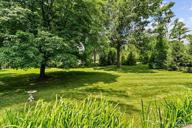 1843 Manor Hill Rd, Saint Louis, MO 63131 - view of green lawn