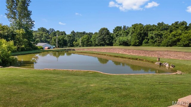 1945 Hilleman Dr, Scott City, MO 63780 - photo 23