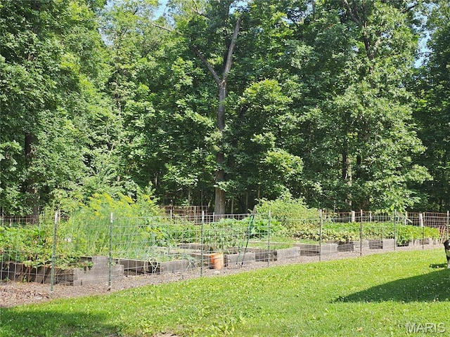 603 City Lake Rd, Percy, IL 62272 - photo 29