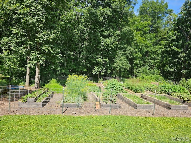 603 City Lake Rd, Percy, IL 62272 - photo 31