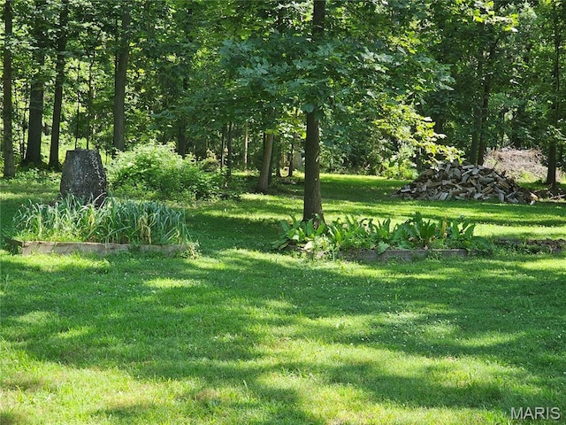 603 City Lake Rd, Percy, IL 62272 - photo 35
