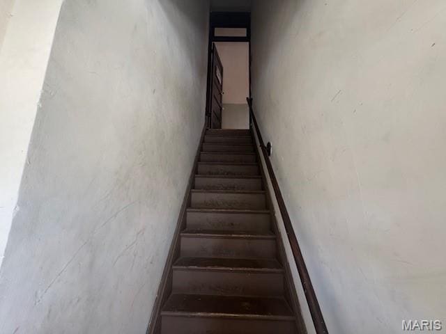 411 Fassen St, Saint Louis, MO 63111 - photo 16