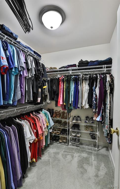 3375 Amber Heights Ln, Imperial, MO 63052 - walk in closet with carpet floors