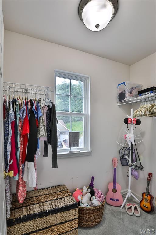 3375 Amber Heights Ln, Imperial, MO 63052 - walk in closet featuring carpet