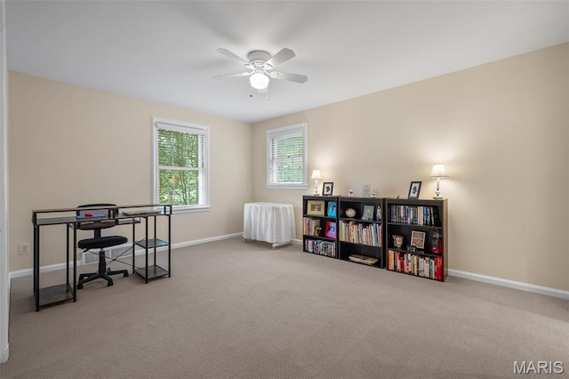 4 Briarcliff, Ladue, MO 63124 - photo 25