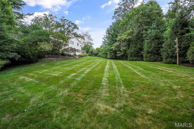 4 Briarcliff, Ladue, MO 63124 - photo 37
