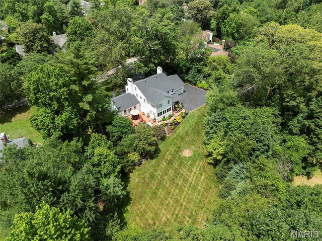 4 Briarcliff, Ladue, MO 63124 - photo 38