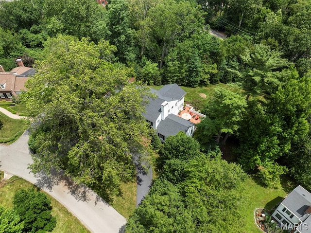 4 Briarcliff, Ladue, MO 63124 - photo 39
