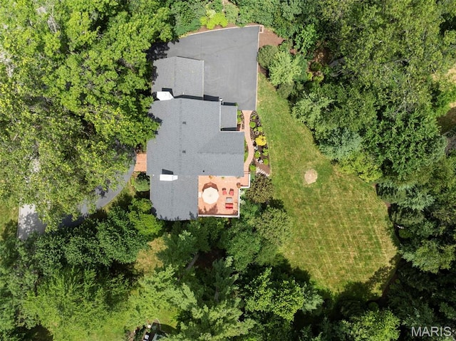 4 Briarcliff, Ladue, MO 63124 - photo 40