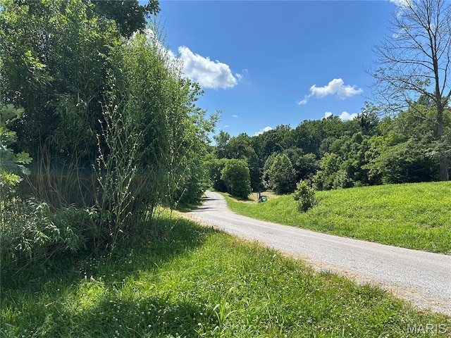 255 Kimber Dr, Dongola, IL 62926 - photo 13