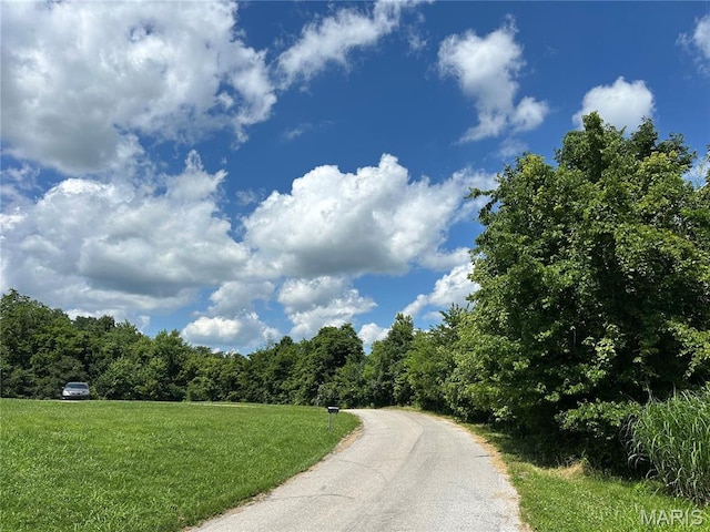 255 Kimber Dr, Dongola, IL 62926 - photo 18
