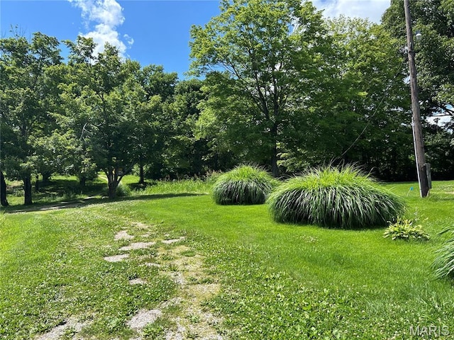 255 Kimber Dr, Dongola, IL 62926 - photo 21