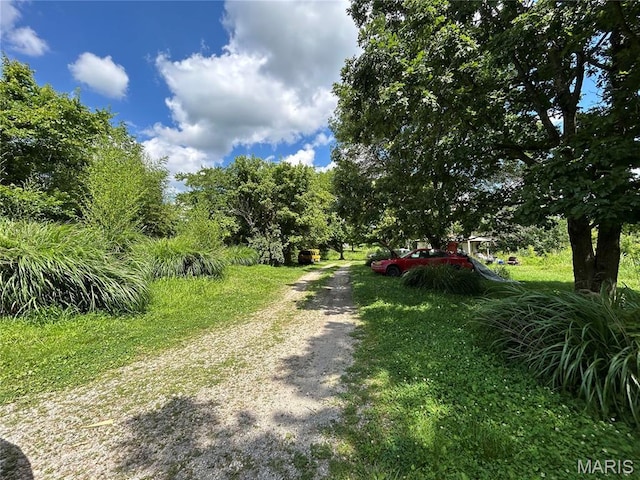 255 Kimber Dr, Dongola, IL 62926 - photo 22